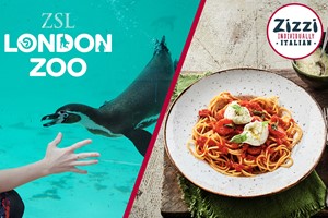 ZSL London Zoo Entry and Three Course Meal for Two at Zizzi