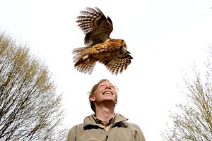 British Birds of Prey Experience - UK Wide