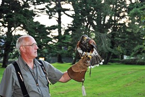 Birds of Prey Experience for Two at North Devon Falconry