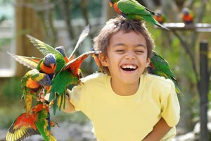 Animal Encounter at Drusillas Zoo Park