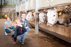 Animal Keeper Experience for Two at Thornton Hall Country Park
