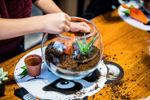 Terrarium Workshop for Two Children at Porto's Flowers