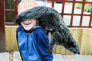 Half Day Zoo Keeper Experience for Two at Wills Wild Animal Encounters