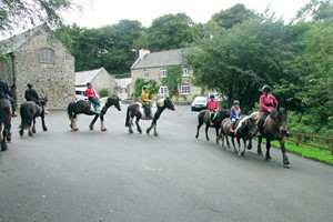 One Hour Horse Riding Session for One at Caffyns Farm