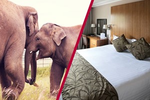 Adult Entry to Whipsnade Zoo with Overnight Stay at Aubrey Park Hotel