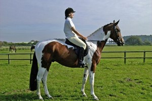 Horse Riding for Two at Halsall Riding Centre