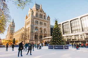 Christmas Ice Skating with a Glass of Prosecco and Cake for Two at the Natural History Museum Ice Rink