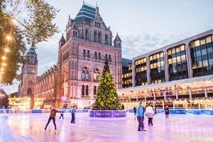 Christmas Ice Skating for Two at the Natural History Museum Ice Rink