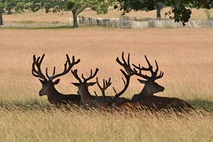 Full Day Landscape Photography Course for One