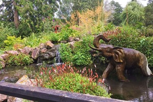 Entry to Beale Park Wildlife Park and Gardens with a Cream Tea for Two