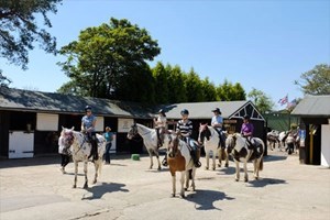 Western Adventure Day - Special Offer