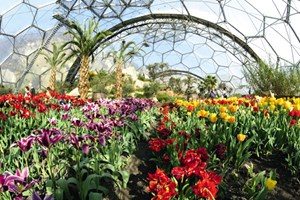Adult Entrance to The Eden Project