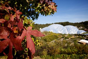 Adult Entrance for Two to The Eden Project