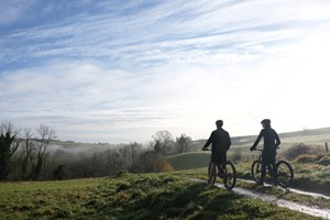 Full Day Guided Cycling Tour with Lunch for One at Wild Carrot