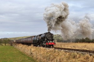 Drive a Steam Engine for One at Churnet Valley Railway