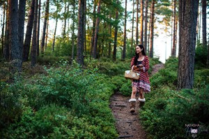 Wild Food Walk for Two at Wild Harvest School of Self-Reliance