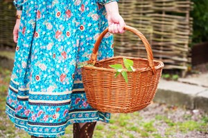 Sustainable Gardening Day Course for Two at Wild Harvest School of Self-Reliance