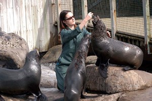Zookeeper for a Day at Bristol Zoo with Entry for Two, Lunch and Souvenir