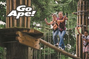 Tree Top Adventure for One Adult and One Child at Go Ape