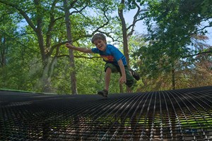 Treetop Nets Adventure for One Adult