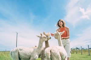 Family Adventure at Alpaca Annie