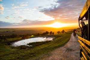 Port Lympne Reserve Family Entry Tickets and Truck Safari with Animal Adoption