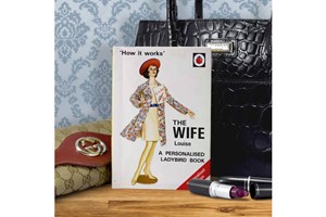 The Wife: A Personalised Ladybird Book