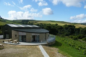 Afternoon Tea and Vineyard Tour with Wine Tasting For Two