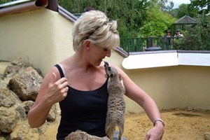 Meet the Meerkats for Two at Paradise Wildlife Park