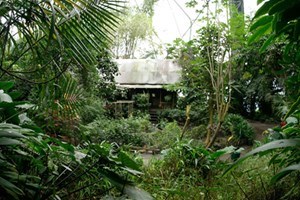 Rainforest Biome Private Tour for Two at The Eden Project
