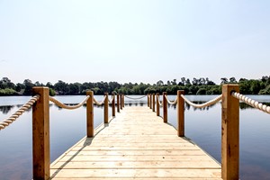 Champneys Spa Day for One with Lunch at Forest Mere