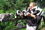 Zookeeper for a Day at Dudley Zoo
