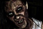 Zombie Bootcamp Experience For One