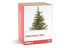 Grow Your Own Christmas Tree