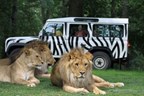 VIP Safari Tour at Longleat Safari Park (Adult)