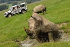 VIP Safari Tour at Longleat Safari Park (Adult and Child)