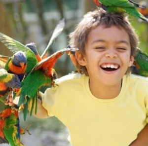 Happy child at the zoo holding a parrot