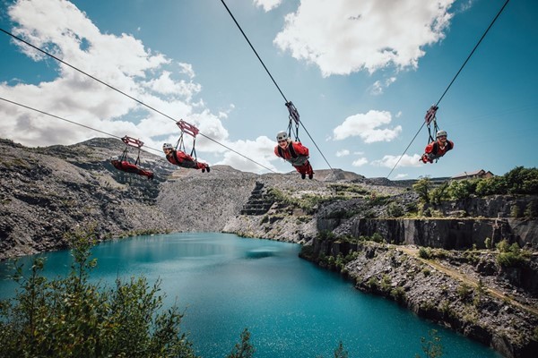 Zip World Velocity for Four