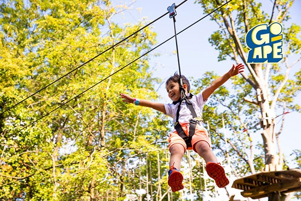 Treetop Adventure for One at Go Ape picture