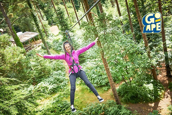 Treetop Challenge for One Adult at Go Ape picture