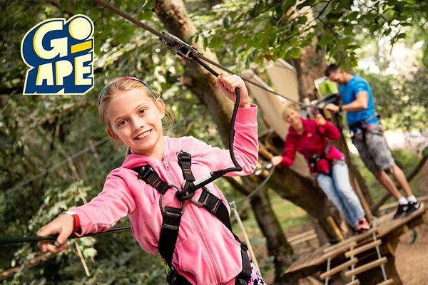 Treetop Adventure For Two At Go Ape From Buyagift