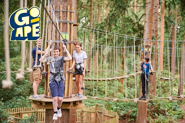 Group of young teenagers climbing the high ropes at Go Ape, Devon