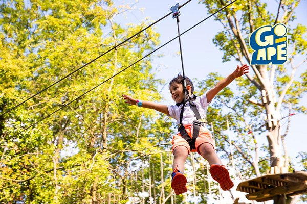 Treetop Adventure for One Adult and One Child at Go Ape picture