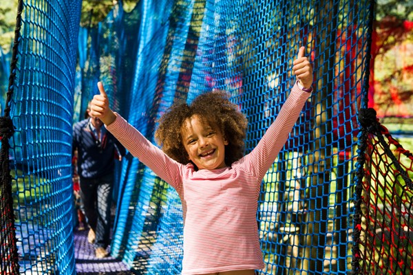 Treetop Nets Adventure for One Adult