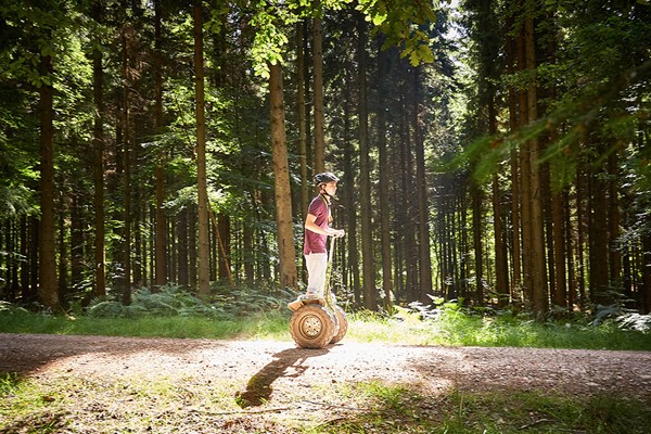 Forest Segway Experience for One at Go Ape