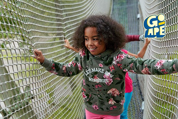 Nets Adventure Experience for One at Go Ape picture