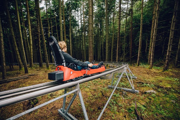 Zip World Fforest Coaster Ride Experience From Buyagift