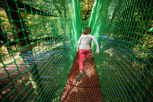 Zip Trek and Treetop Nets for Two at Treetop Trek