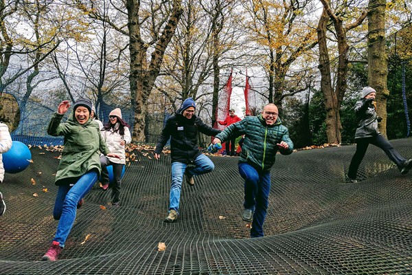 Zip Trek and Treetop Nets for One at Treetop Trek