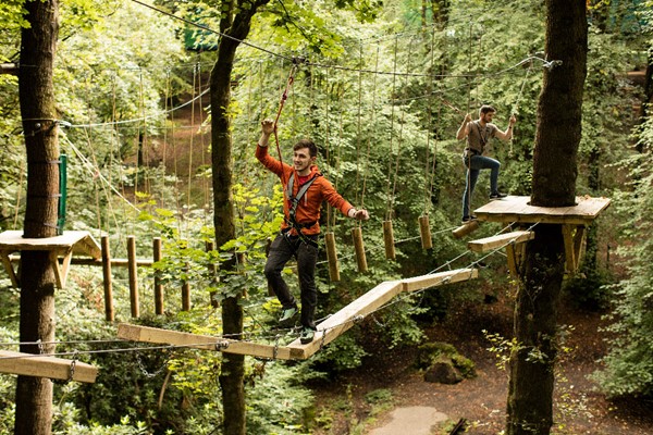 Zip Trek for Two at Treetop Trek